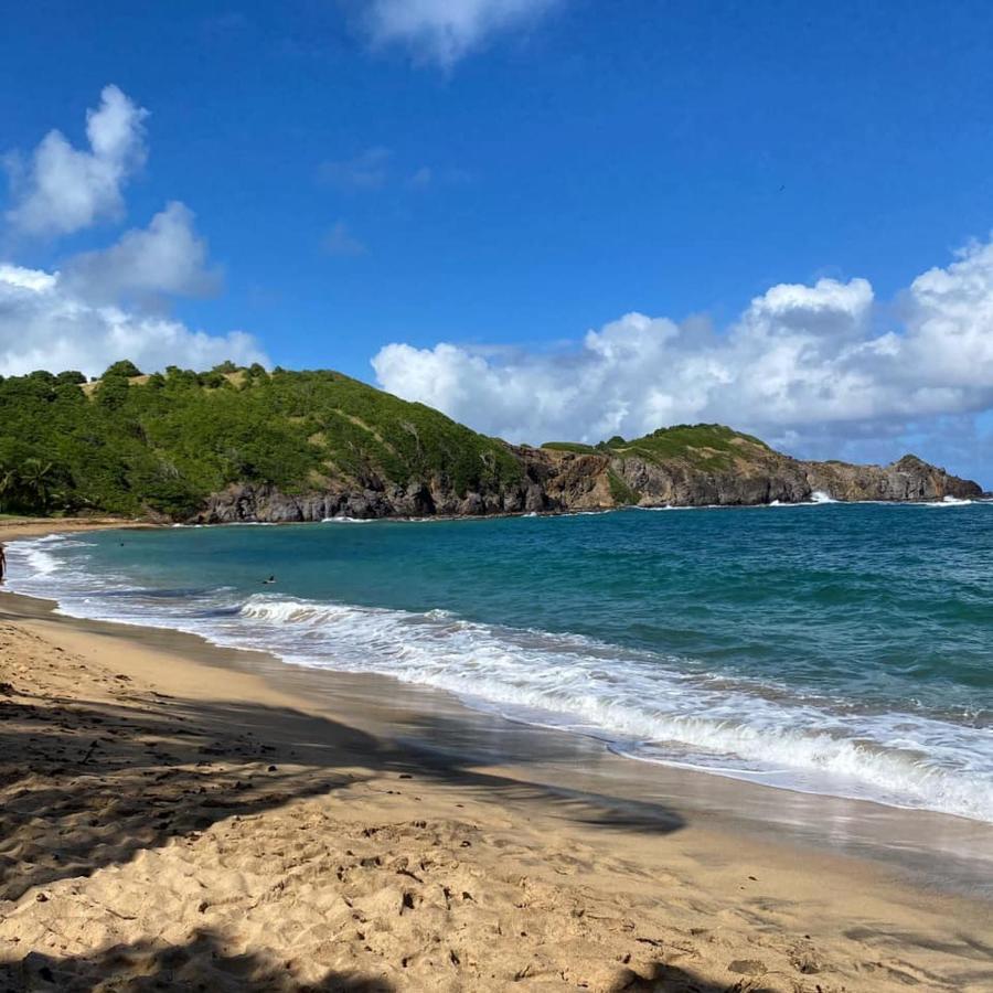 Residence De La Baie 2 - Bleu Soleil Tartane ラ・トリニテ エクステリア 写真
